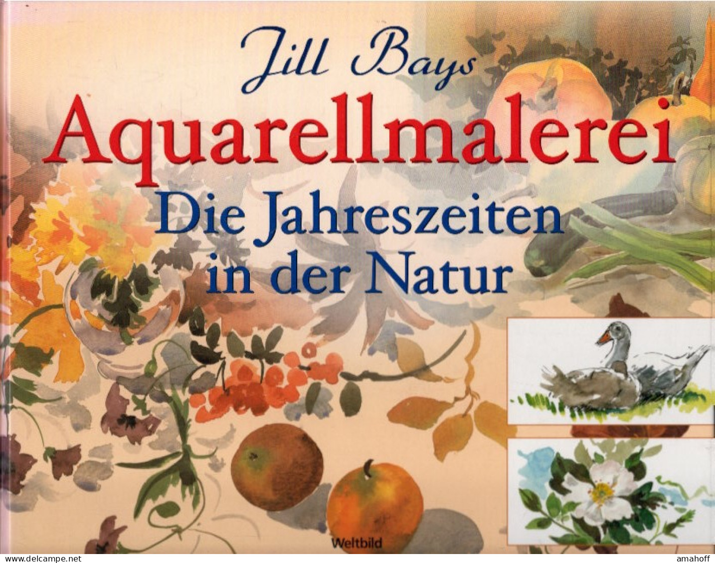 Aquarellmalerei - Die Jahreszeiten In Der Natur - Autres & Non Classés
