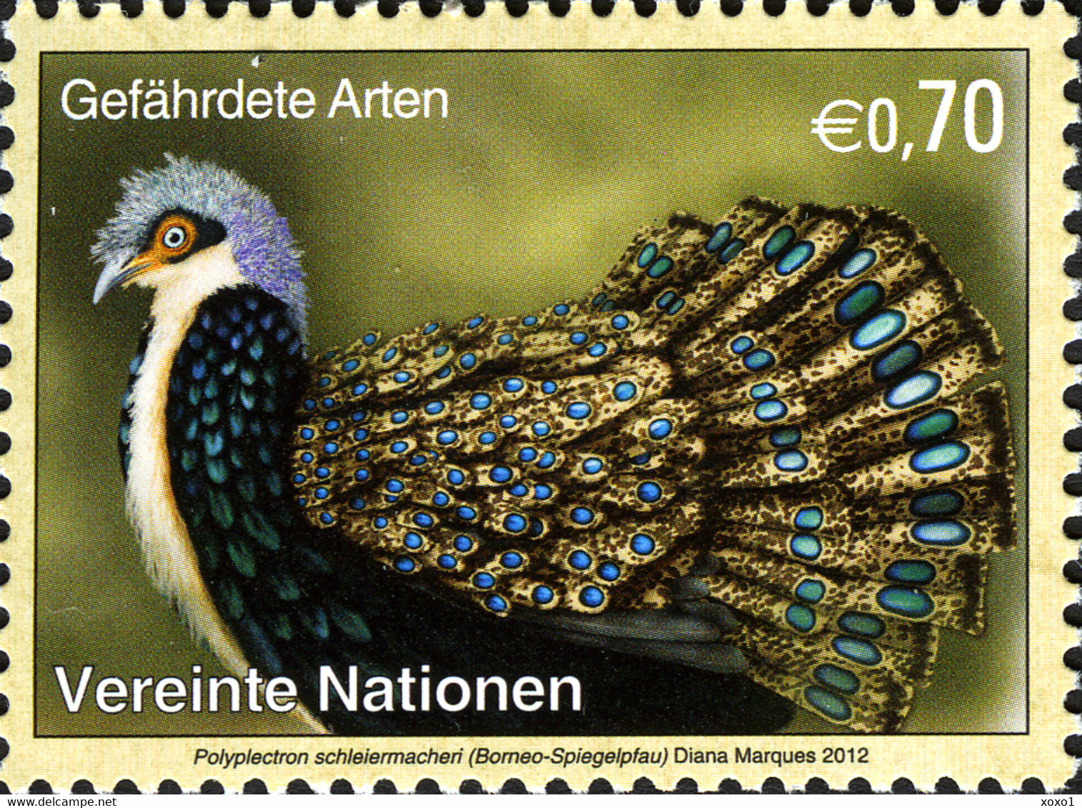 United Nations 2012 Fauna Birds Endangered Species - XX New York Geneva Vienna Joint Issues 12v MNH** 16.00 € - Gemeinschaftsausgaben New York/Genf/Wien