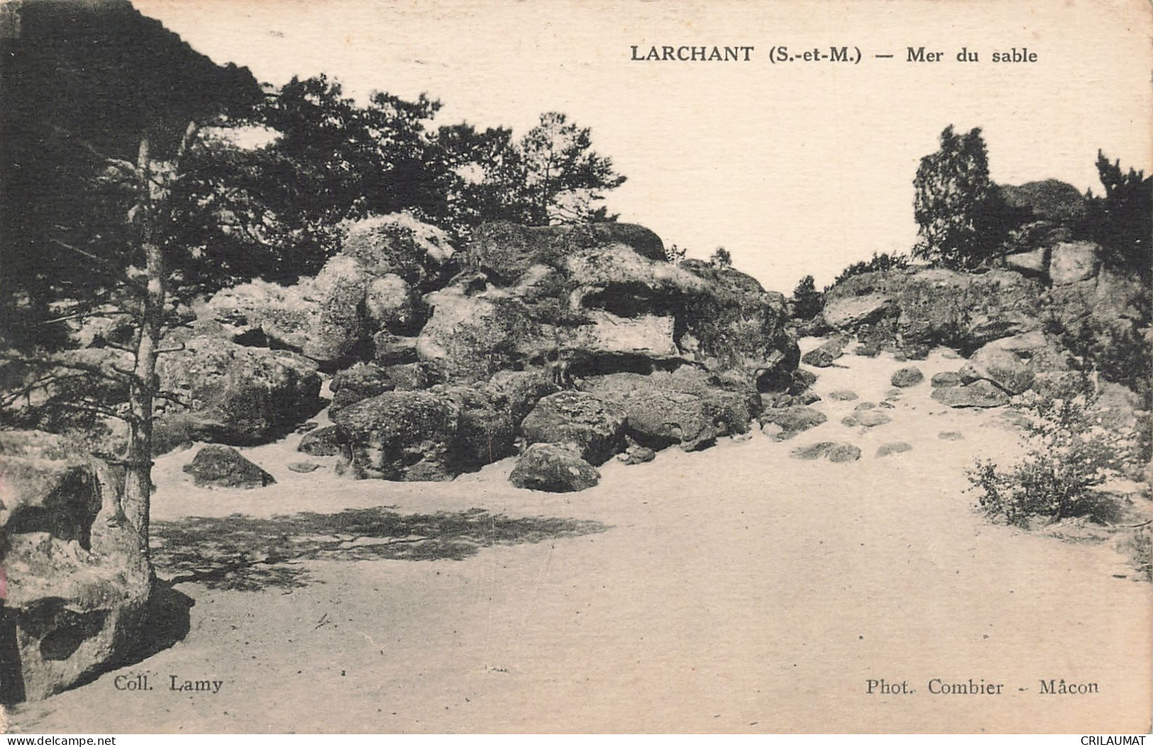 77-LARCHANT-N°T5290-H/0247 - Larchant