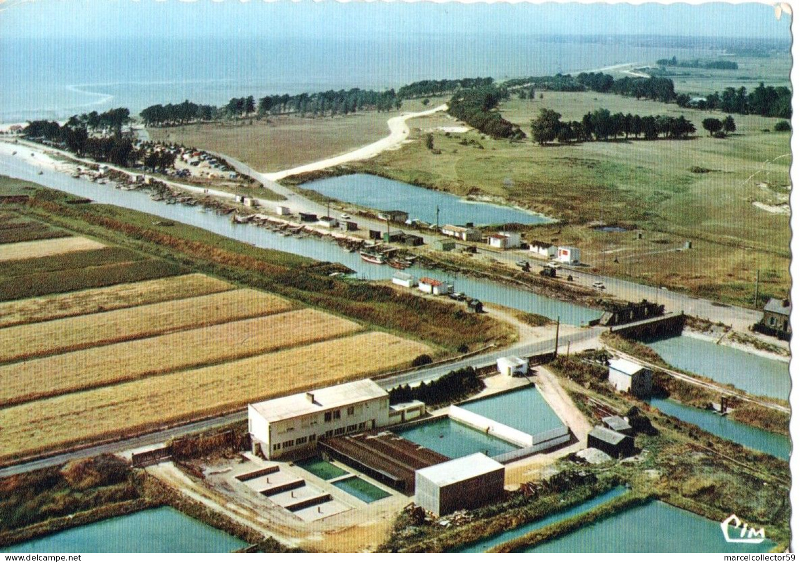 CPM - Bourgneuf-en-retz - Vue Aérienne Le Port Et Le Camping Du Collet (44 Loire Atlantique) Be - Bourgneuf-en-Retz