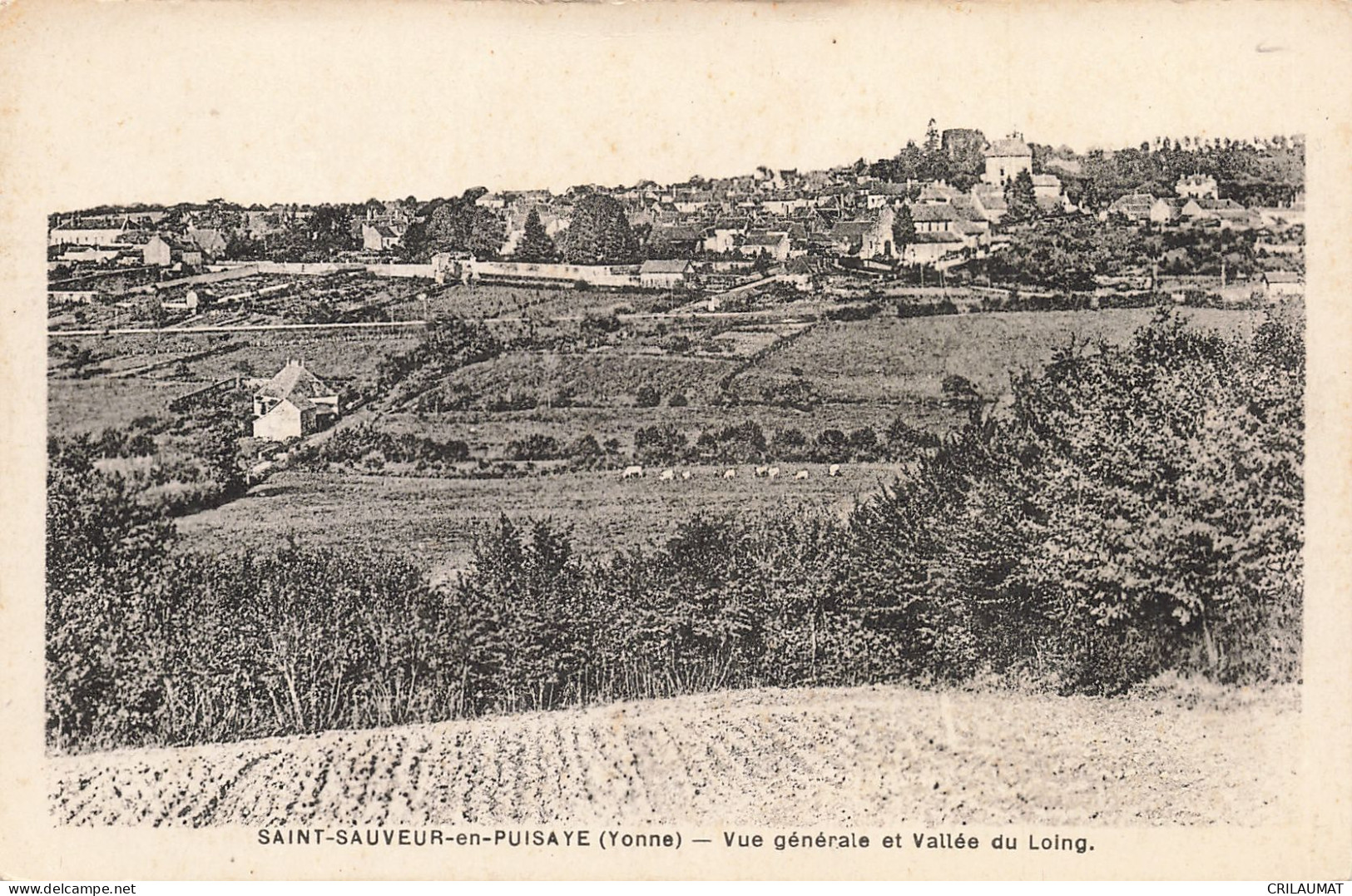 89-SAINT SAUVEUR EN PUISAYE-N°T5295-C/0297 - Saint Sauveur En Puisaye