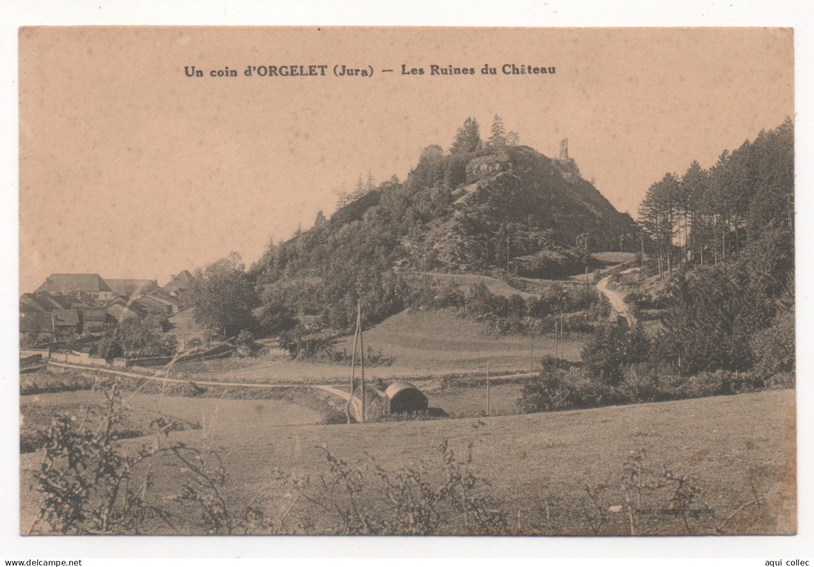 ORGELET  39  LES RUINES DU CHÂTEAU - Orgelet