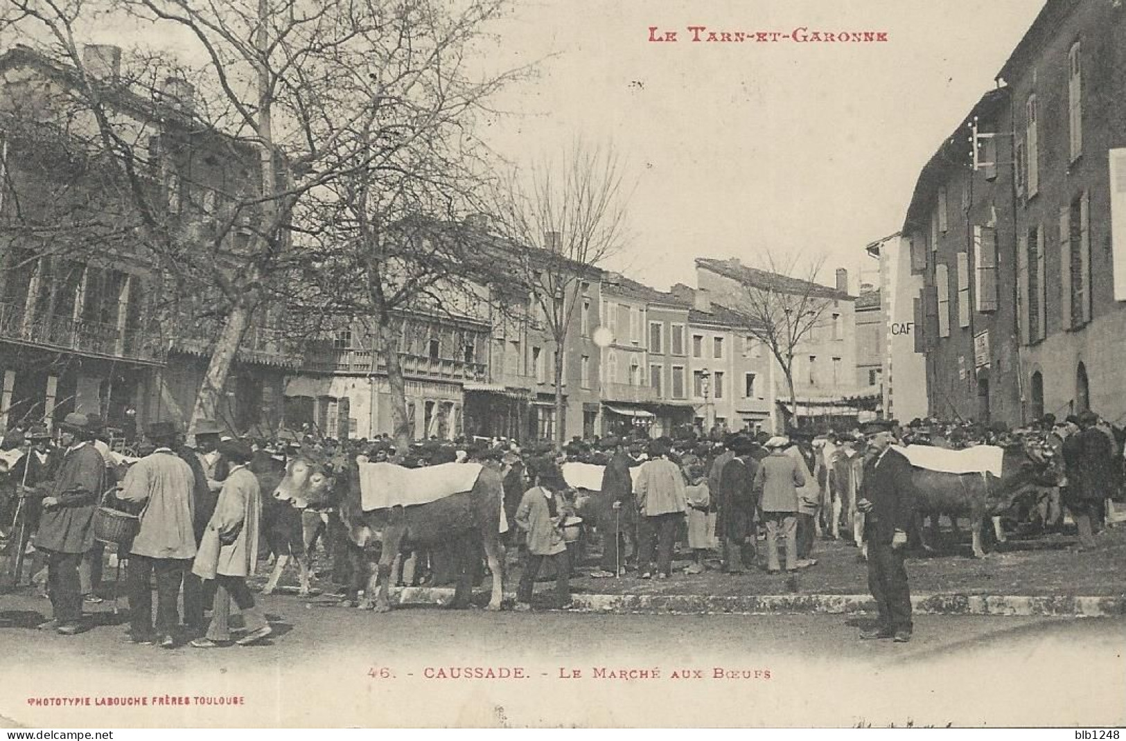 [82] Tarn Et Garonne > Caussade Marché Aux Boeufs Beau Plan - Caussade