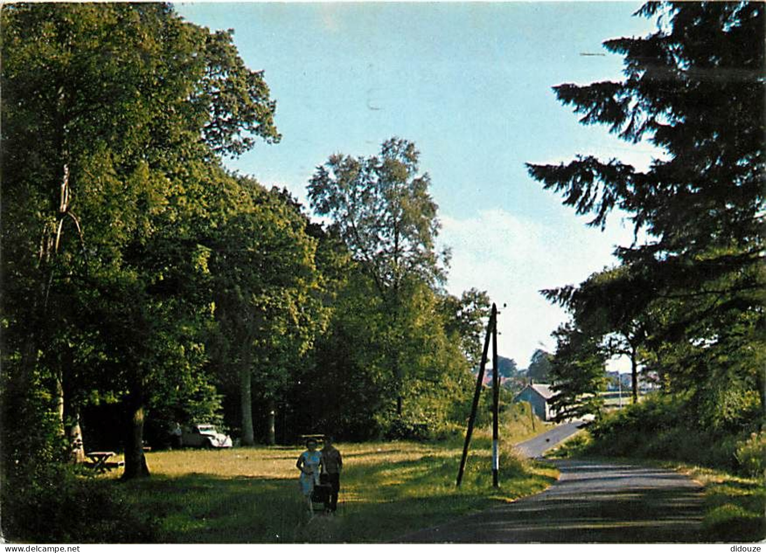 62 - Desvres - La Forêt - CPM - Voir Scans Recto-Verso - Desvres