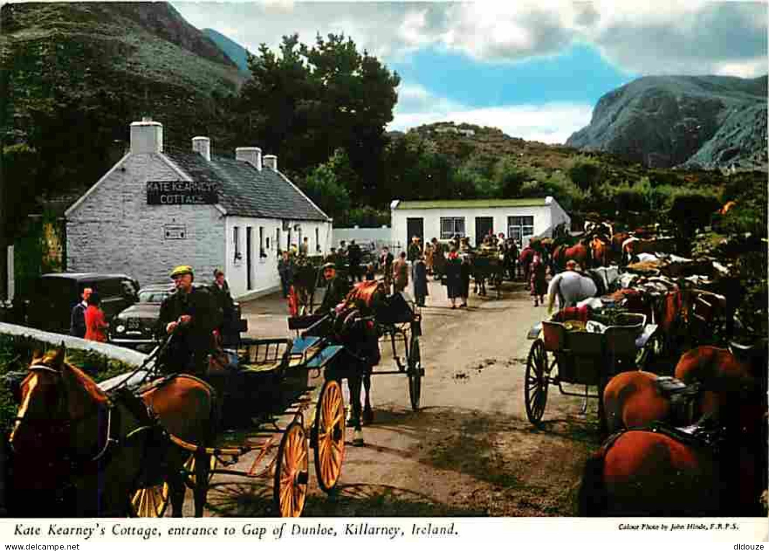 Irlande - Kerry - Killarney - Kate Kearney's Cottage Entrance To Gap Of Dunloe - Chevaux - CPM - Voir Scans Recto-Verso - Kerry