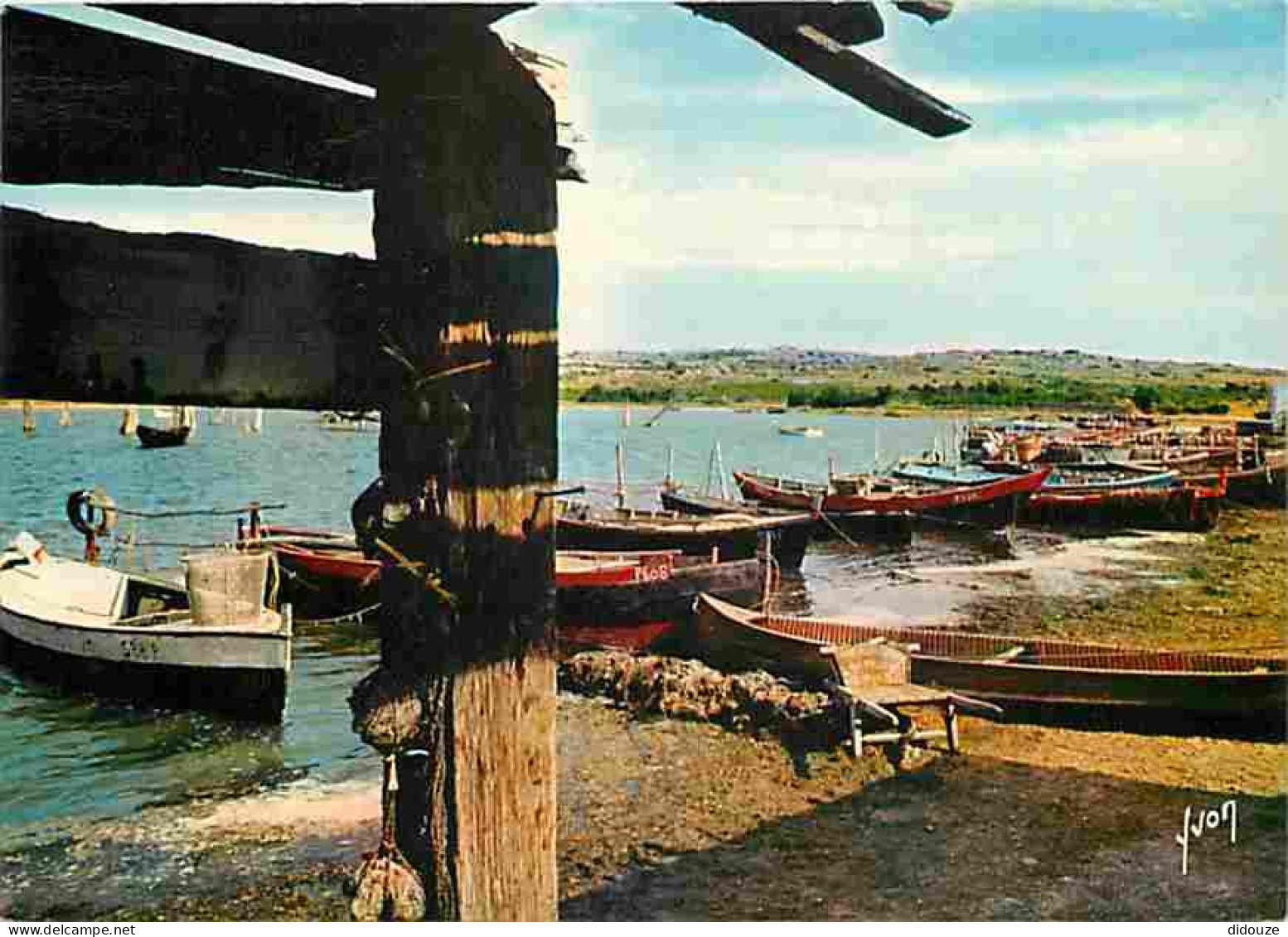 11 - Leucate - Barques De Pêcheurs - CPM - Voir Scans Recto-Verso - Leucate