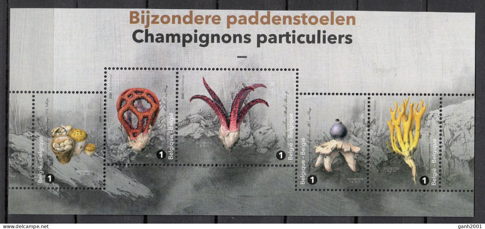 Belgium 2020 Bélgica / Mushrooms MNH Fungi Champignons Setas Pilze / Cu22138  27-33 - Pilze