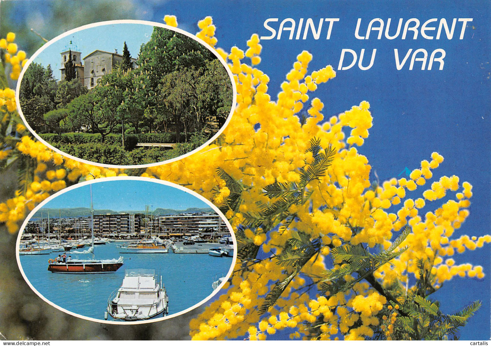 6-SAINT LAURENT DU VAR-N°C-3652-D/0029 - Saint-Laurent-du-Var
