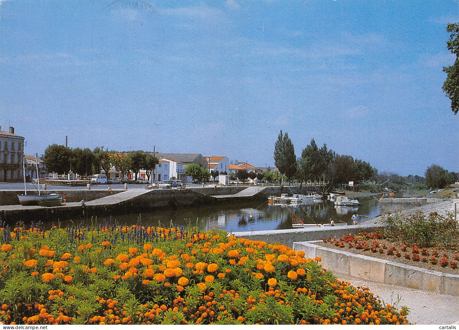 17-SAUJON-N°C-3652-D/0257 - Saujon