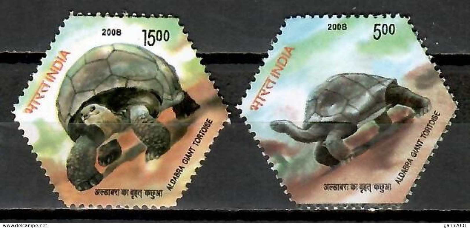 India 2008 / Reptiles Turtles MNH Tortugas Schildkröte / Cu11635  C5-28 - Tortues