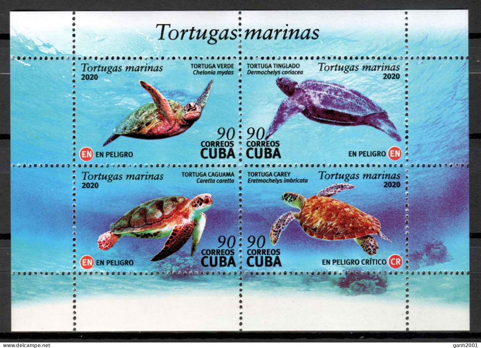 Cuba 2020 / Reptiles Turtles MNH Tortugas Schildkröten Tortues / Hq75  C4-22 - Schildkröten