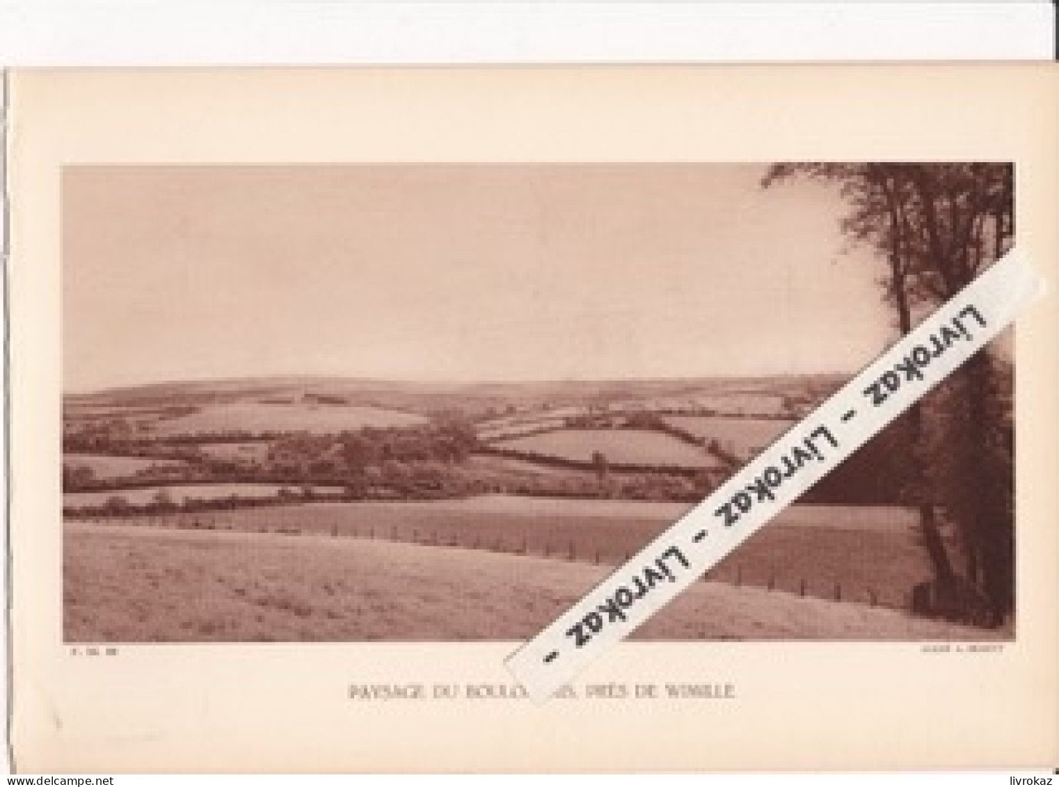 Paysage Du Boulonnais, Près De Wimille (Pas-de-Calais), Photo Sépia Extraite D'un Livre Paru En 1933 - Ohne Zuordnung