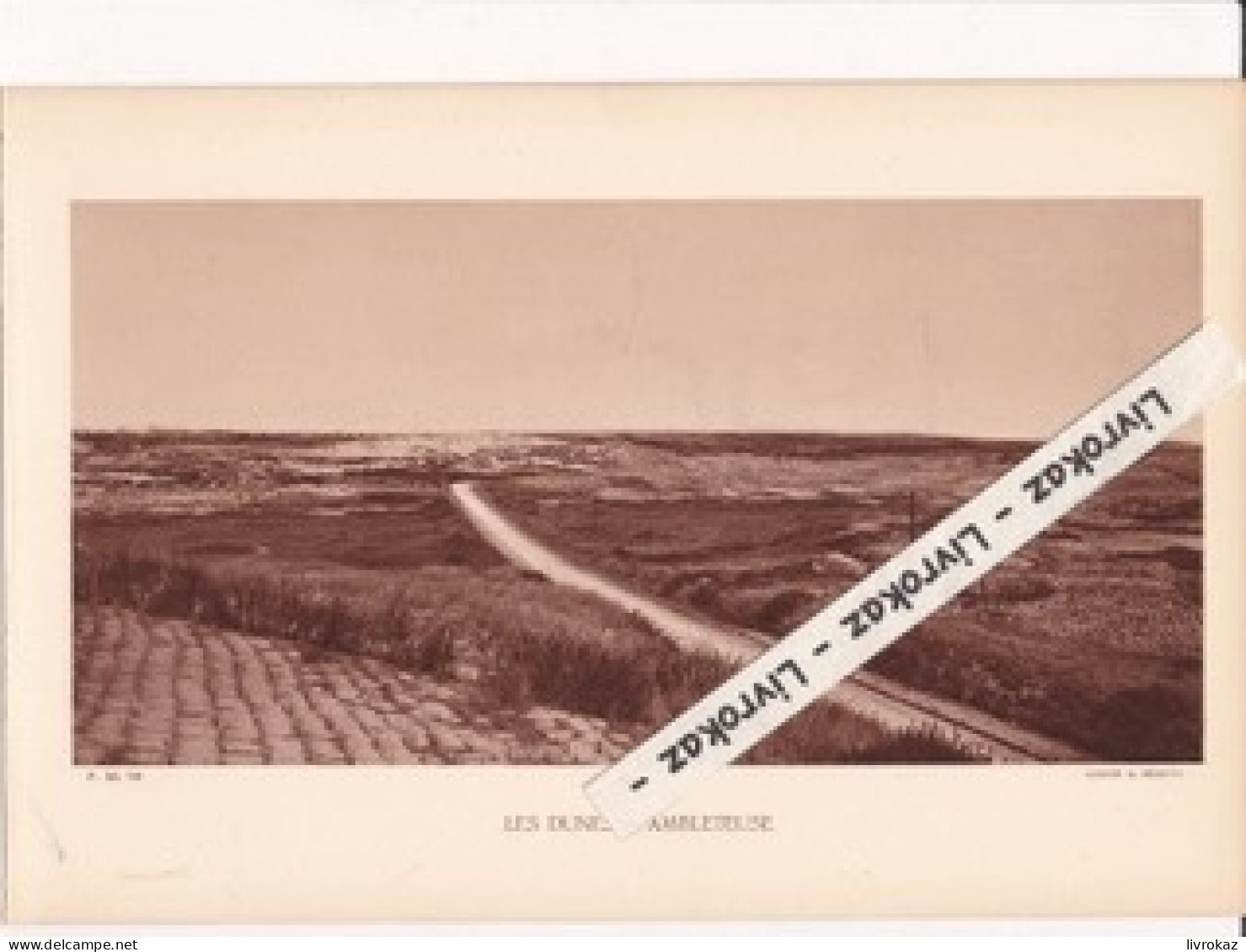 Les Dunes à Ambleteuse (Pas-de-Calais), Photo Sépia Extraite D'un Livre Paru En 1933 - Unclassified