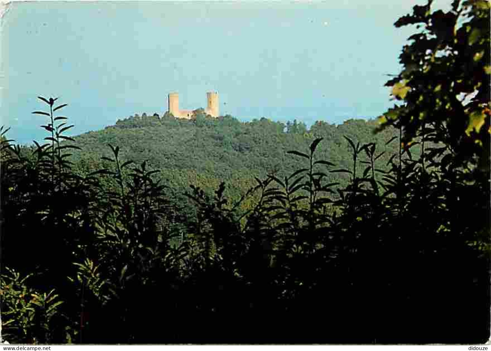 67 - Barr - Le Château D'AndIau  - CPM - Voir Scans Recto-Verso - Barr