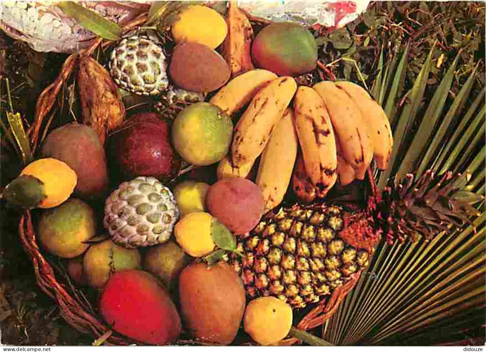 Antilles - Fruits Tropicaux - CPM - Voir Scans Recto-Verso - Autres & Non Classés