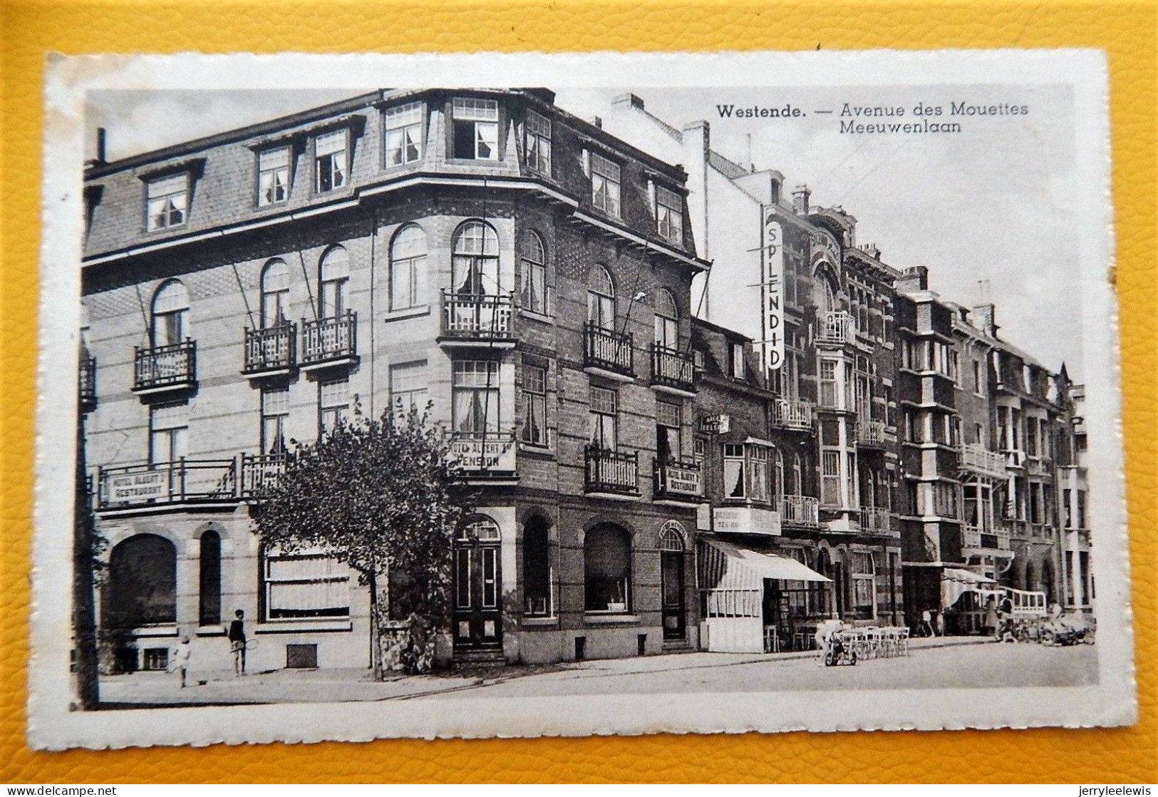 WESTENDE  - Meeuwenlaan  -  Avenue Des Mouettes - Westende