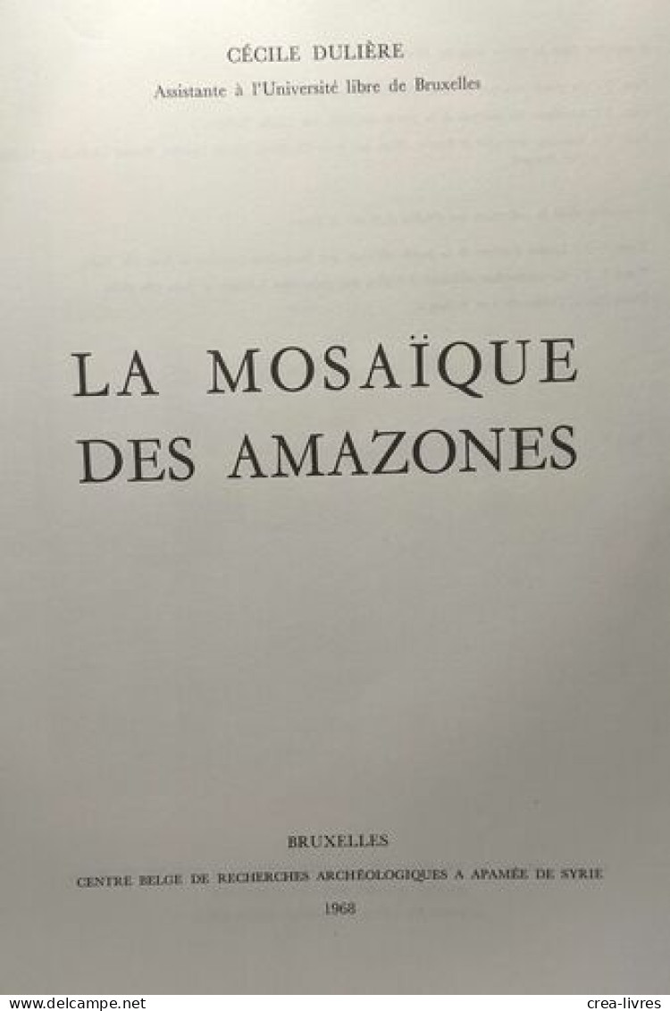 La Mosaïque Des Amazones - Fouilles D'Apamée De Syrie - Arqueología