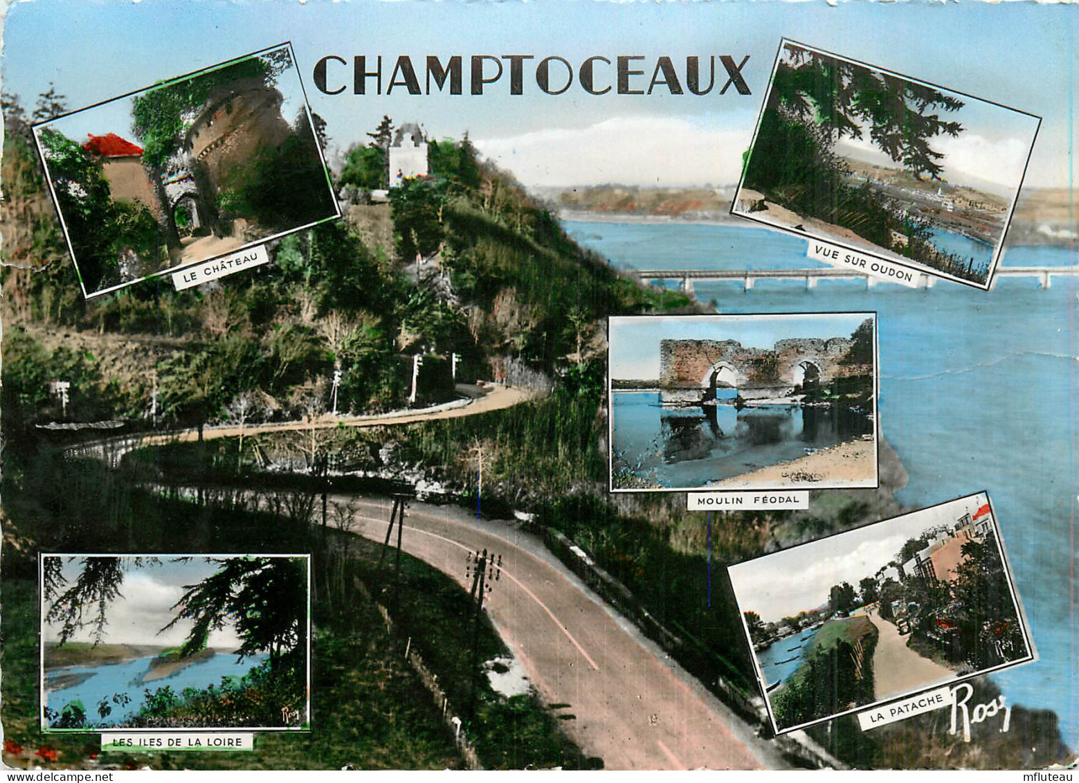 49* CHAMPTOCEAUX  Multivues  (CPSM 10x15cm)           RL17,1277 - Champtoceaux