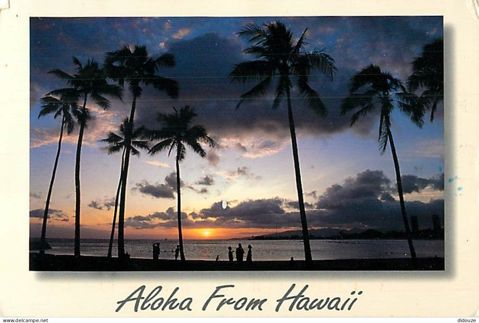 Etats Unis - Hawaï - Aloha From Hawaï - Etat De Hawaï - Hawaï State - CPM - Voir Timbre - Voir Scans Recto-Verso - Other & Unclassified