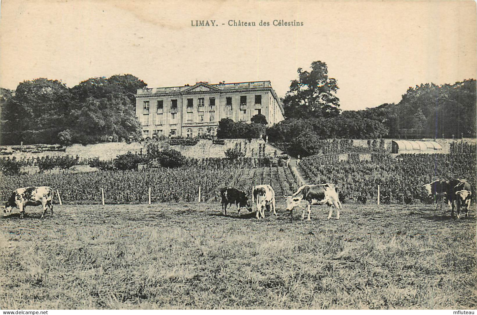 78* LIMAY Chateau Des Celestins       RL28,0203 - Limay