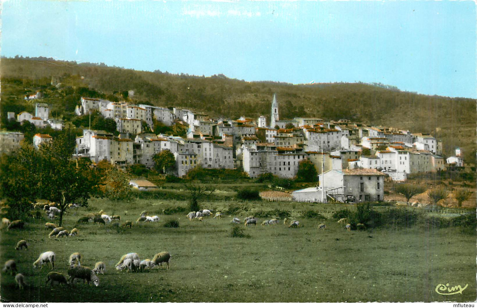 83* CALLAS DU VAR  Vue Generale  (CPSM 9x14cm)        RL28,0784 - Callas