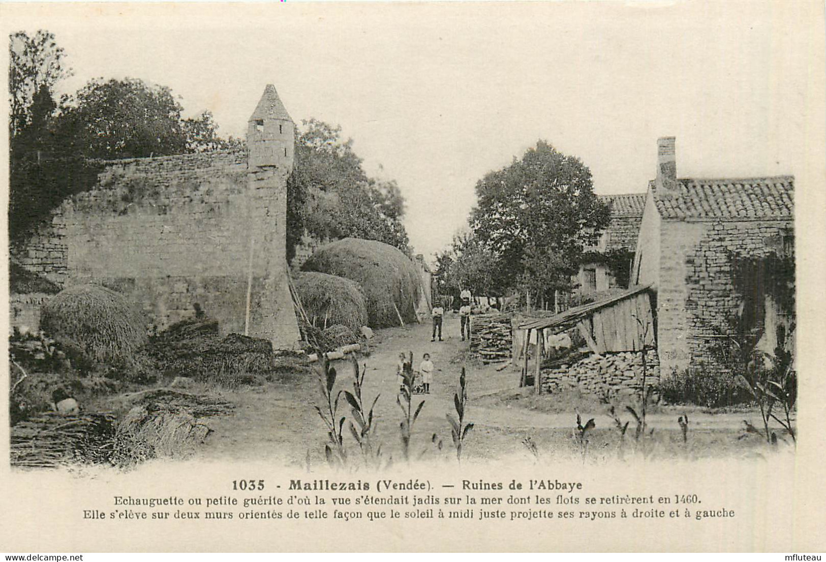 85* MAILLEZAIS  Ruines De L Abbaye        RL28,0980 - Maillezais