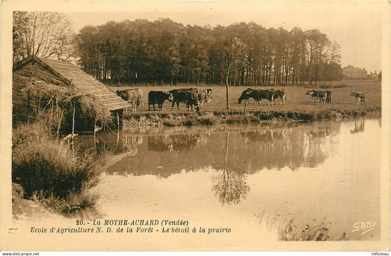 85* LA MOTHE ACHARD  Ecole D Agriculture  - Betail A La Prairie        RL28,0985 - La Mothe Achard