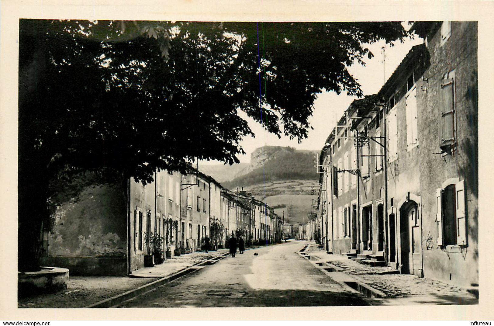 81* DOURGNE  Av Du Faubourg    CPSM(10x14cm)     RL31,0671 - Dourgne