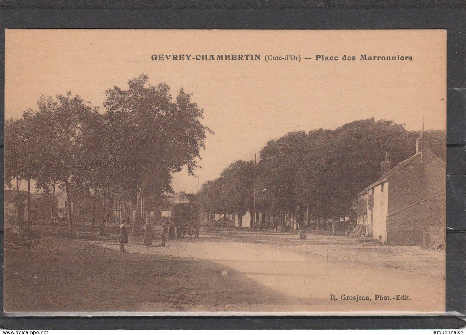 21 - GEVREY CHAMBERTIN - Place Des Marronniers - Gevrey Chambertin