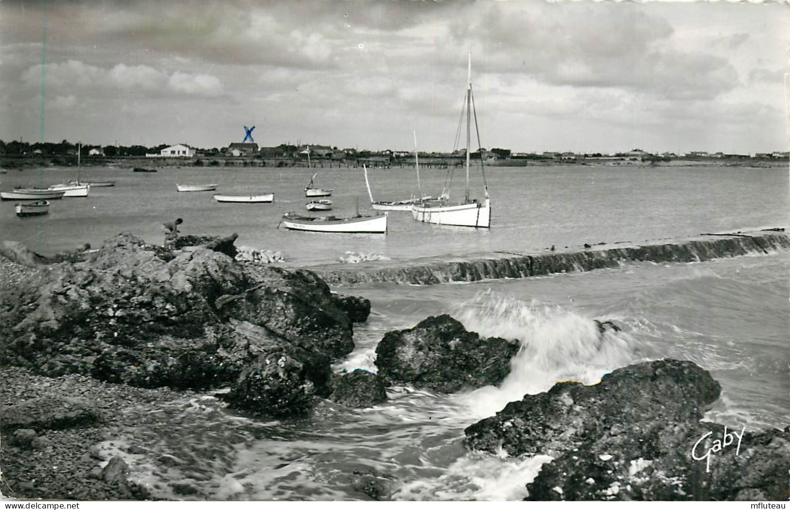 17* ANGOULINS S/MER  Le Port  CPSM (format 9x14cm)      RL39.0975 - Angoulins