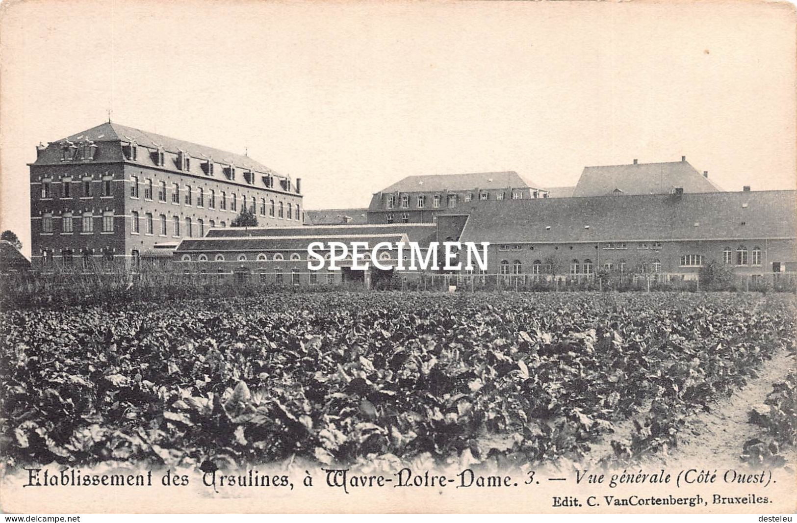 Etablissement Des Ursulines - Vue Générale - Wavre-Notre-Dame - Sint-Katelijne-Waver