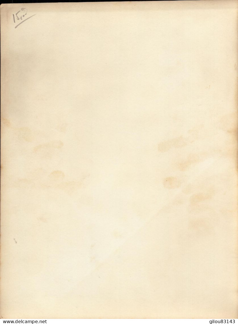 Artiste, Starlette, Lily (dedicace) 1943 - Dédicacées