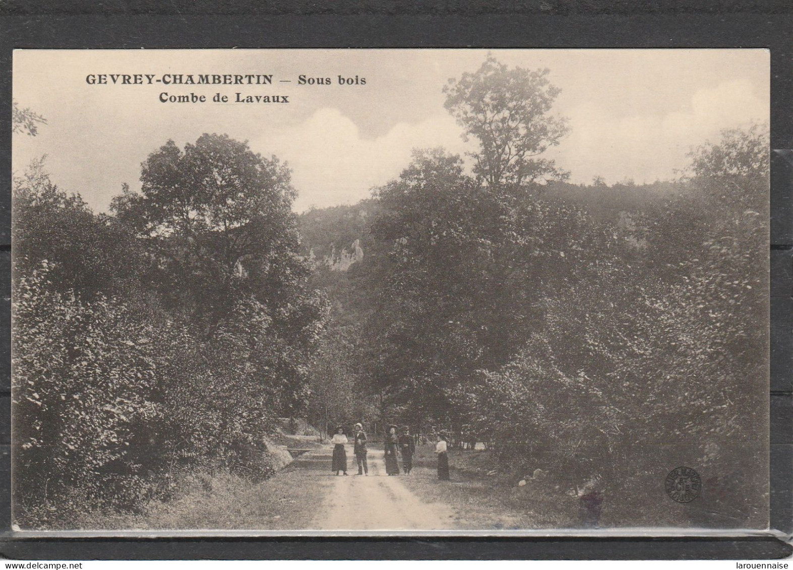 21 - GEVREY CHAMBERTIN - Sous Bois - Combe De Lavaux - Gevrey Chambertin