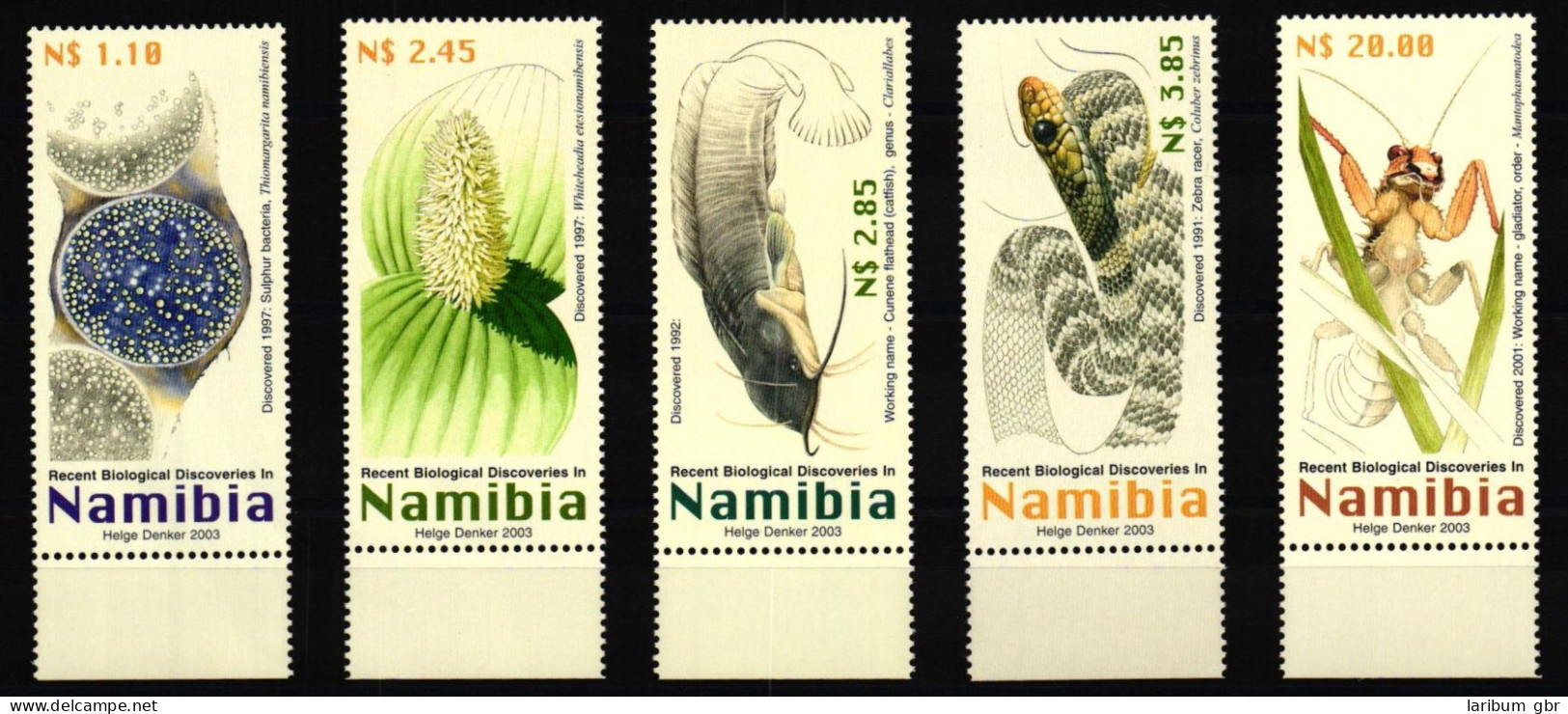 Namibia 1097-1101 Postfrisch Insekten #KC684 - Namibia (1990- ...)