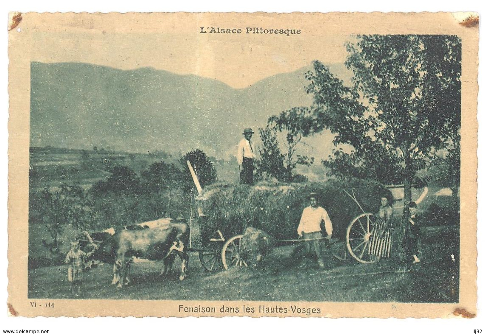 CPA L'Alsace Pittoresque - Fenaison Dans Les Hautes Vosges - VI 114. - Alsace