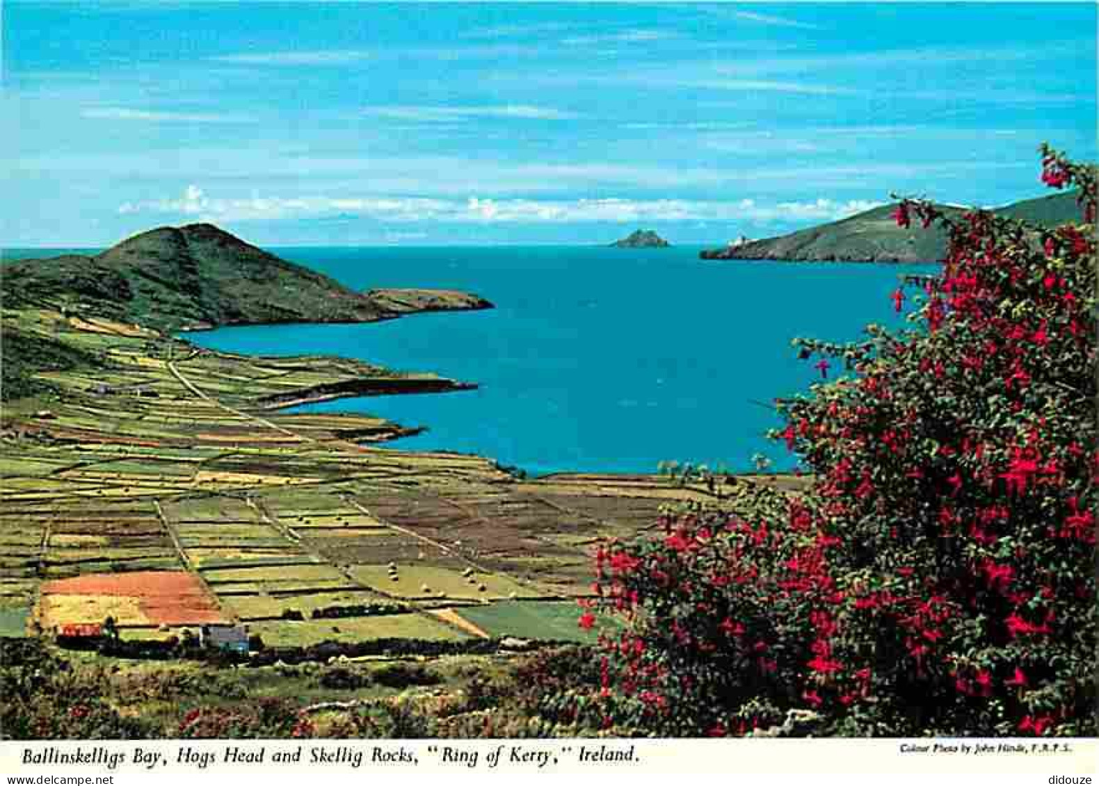 Irlande - Kerry - Ballinskelligs Bay - Hogs Head And Skellig Rocks - Ring Of Kerry - CPM - Voir Scans Recto-Verso - Kerry