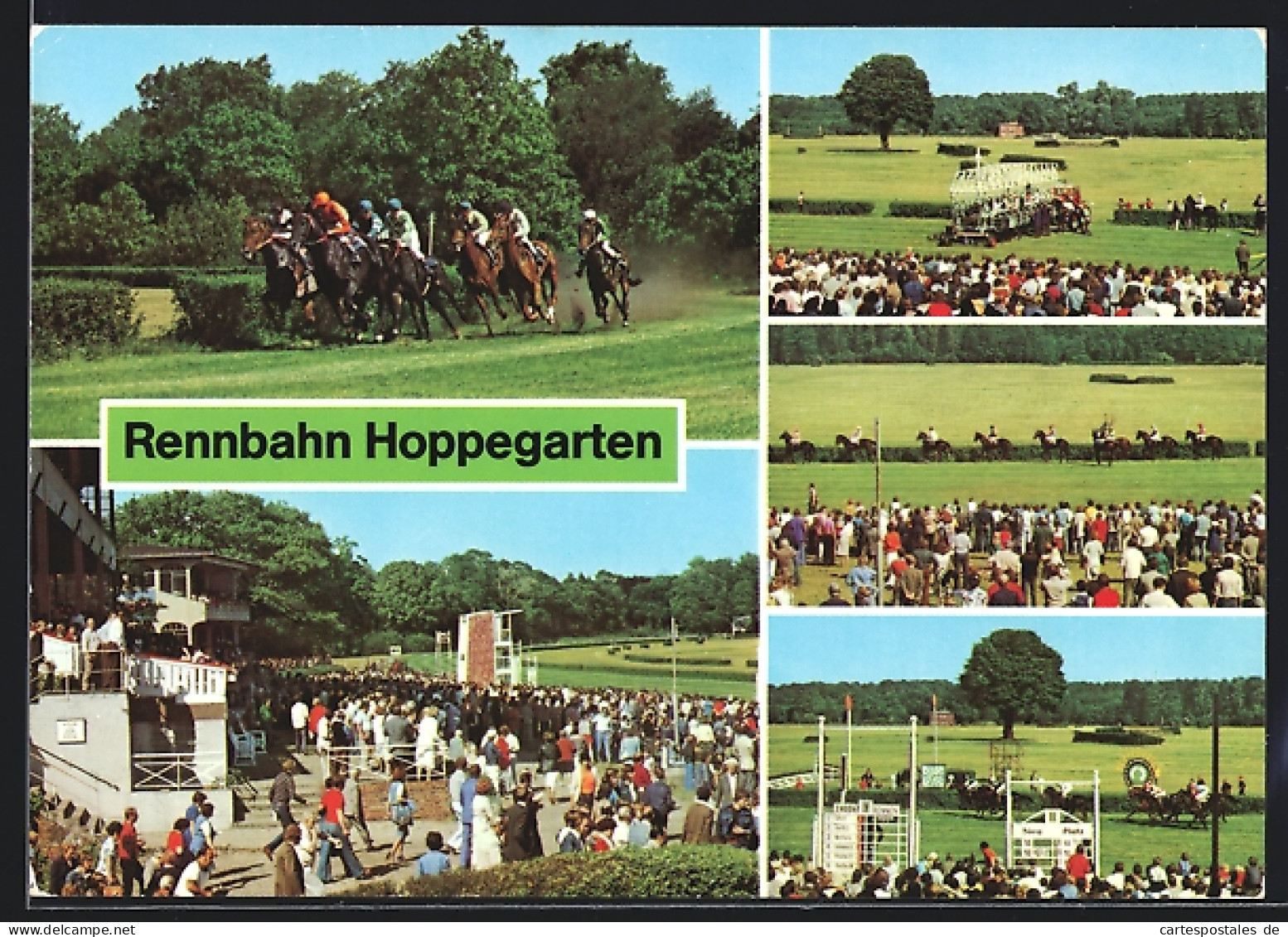 AK Dahlwitz, Rennbahn Hoppegarten  - Dahlwitz-Hoppegarten