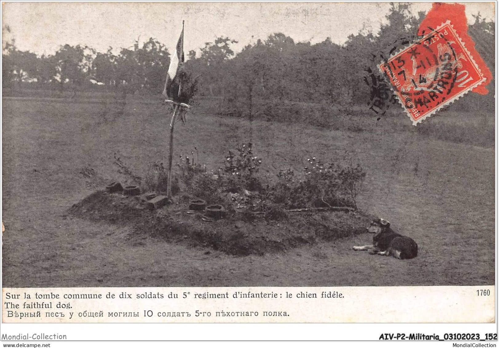 AIVP2-0182 - MILITARIA - SUR LA TOMBE DE DIX SOLDAT DU 5e REGIMENT D'INFANTERIE - LE CHIEN FIDELE  - Cementerios De Los Caídos De Guerra