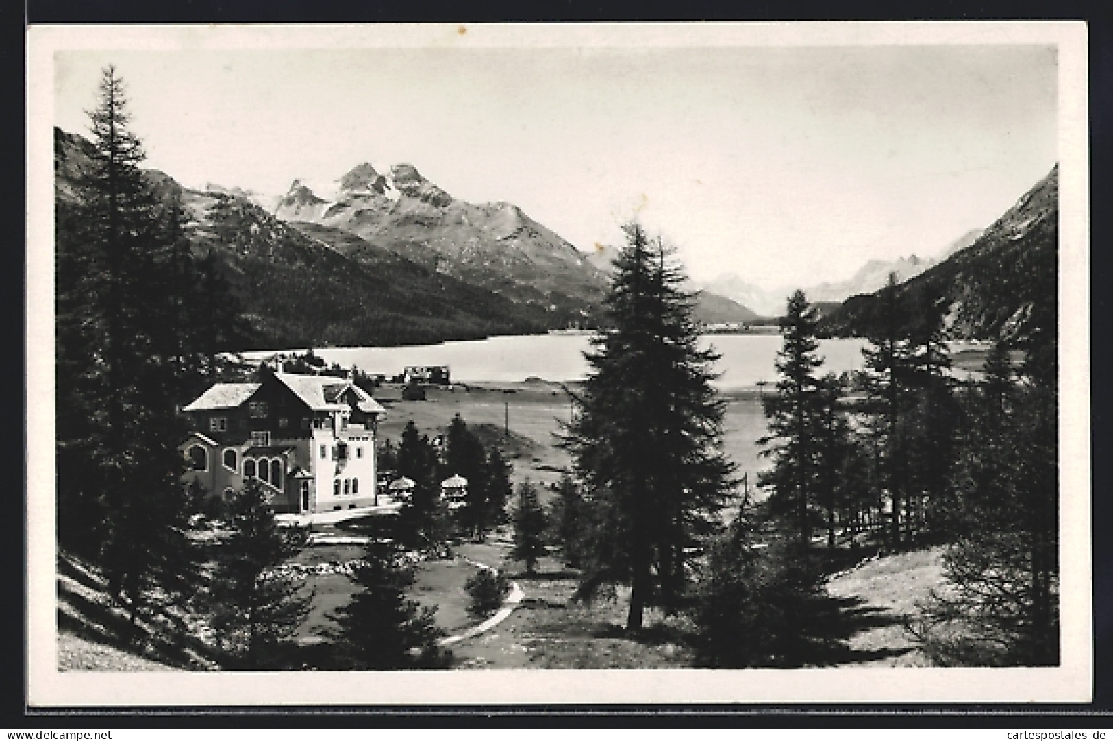 AK Silvaplana, Hotel-Pension Waldheim Mit Blick Auf See Und Gebirge  - Silvaplana