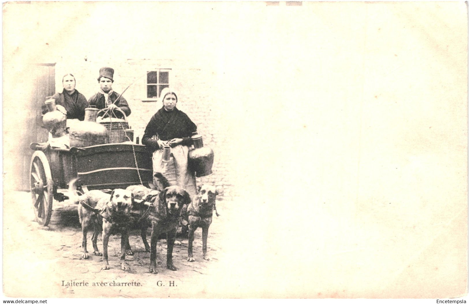 CPA Carte Postale Belgique  Laitière Avec Charrette  Tirée Par Des Chiens  VM79430ok - Attelages