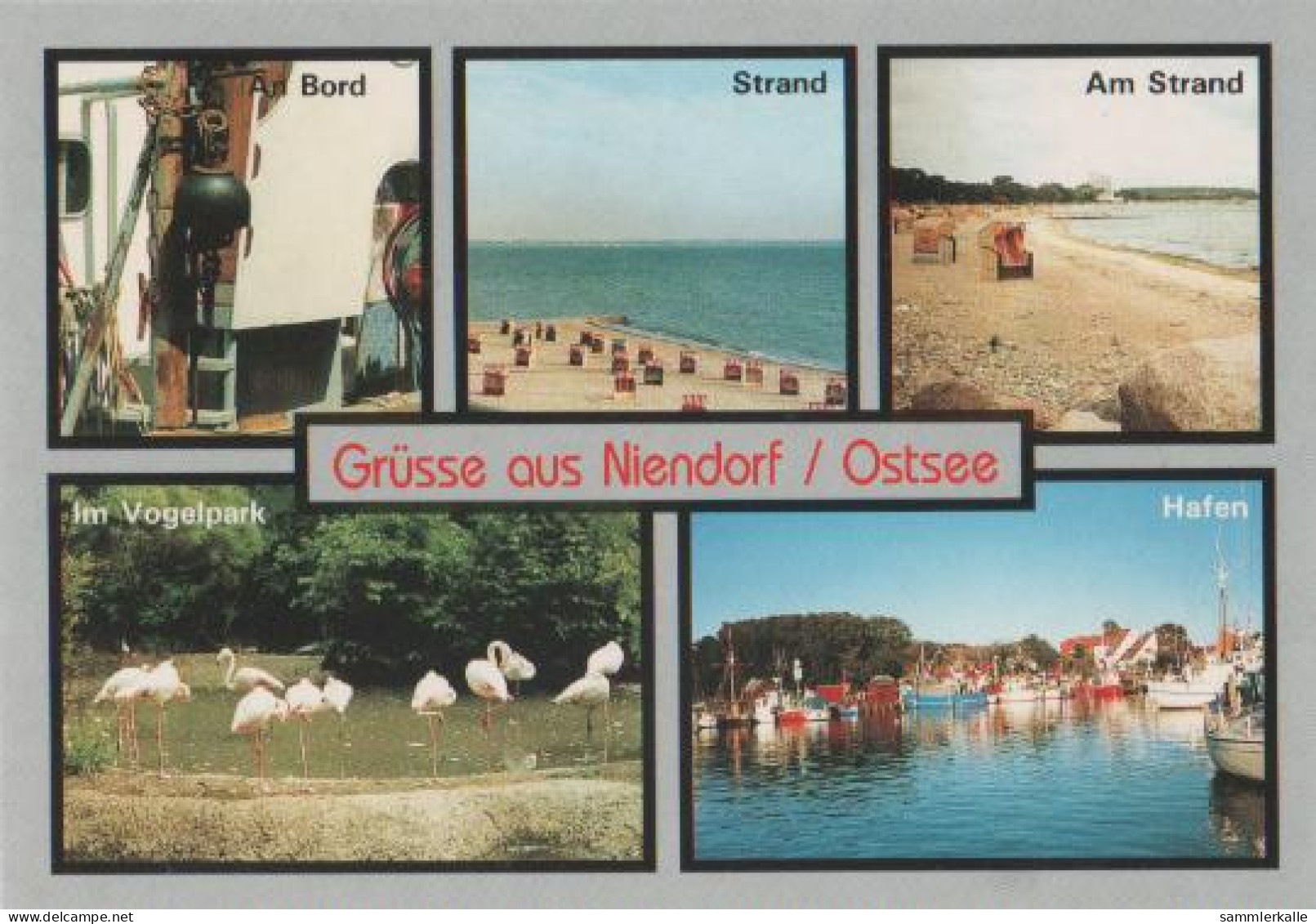 12784 - Timmendorfer Strand - Grüsse Aus Niendorf Ostsee - Ca. 1995 - Timmendorfer Strand