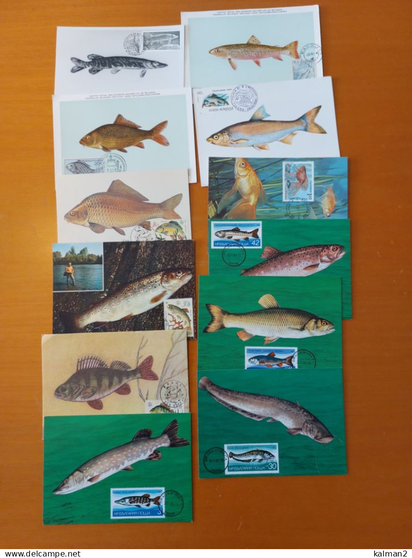 TEM20366 - LOTTO DI  35 CARTOLINE   TRA CUI FDC-MAX.CARD E ANNULLI DI MANIFESTAZIONI - Fish & Shellfish