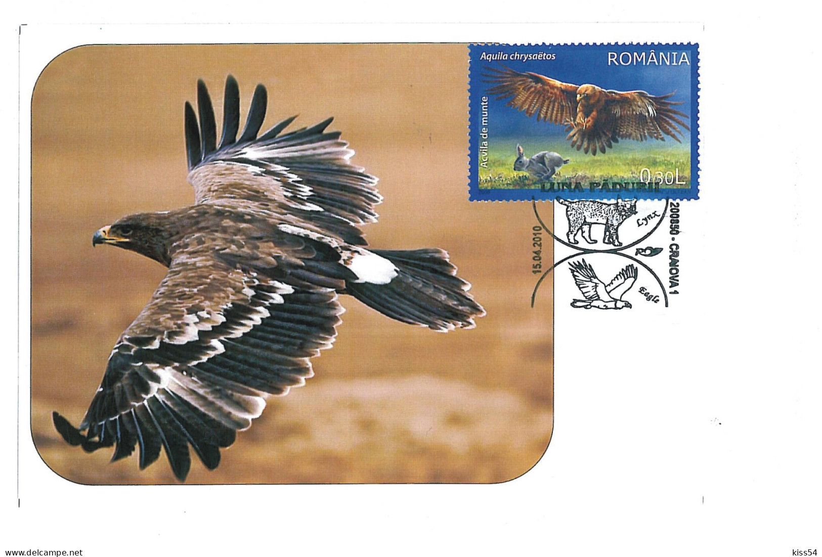 MAX 35 - 236 EAGLE, Romania - Maximum Card - 2010 - Adler & Greifvögel