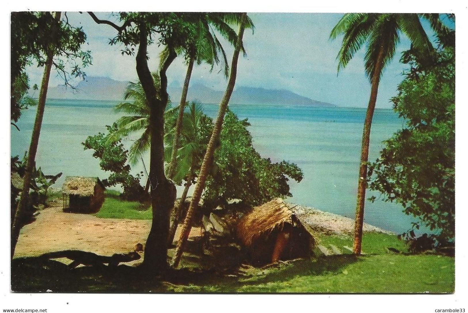 CPA  TAHITI  FAAA    Non  Circulée  (953) - Tahiti