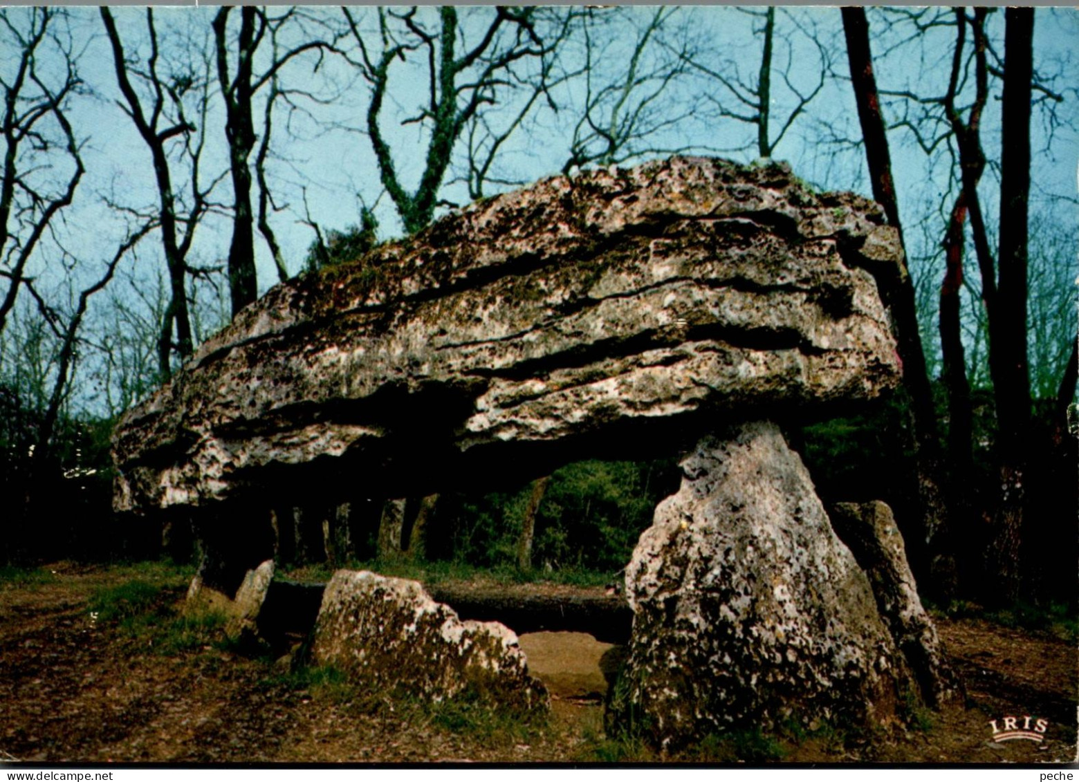 N°262 Z -cpsm Le Dolmen De La Pierre Pèse -Civray- - Dolmen & Menhirs