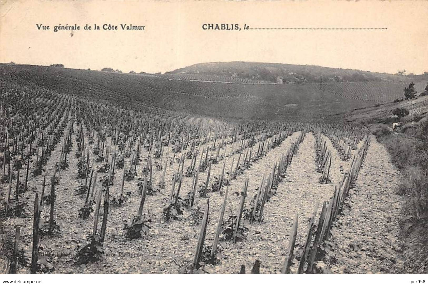 89 - CHABLIS - SAN35278 - Vue Générale De La Côte Valmur - Agriculture - Vigne - Chablis