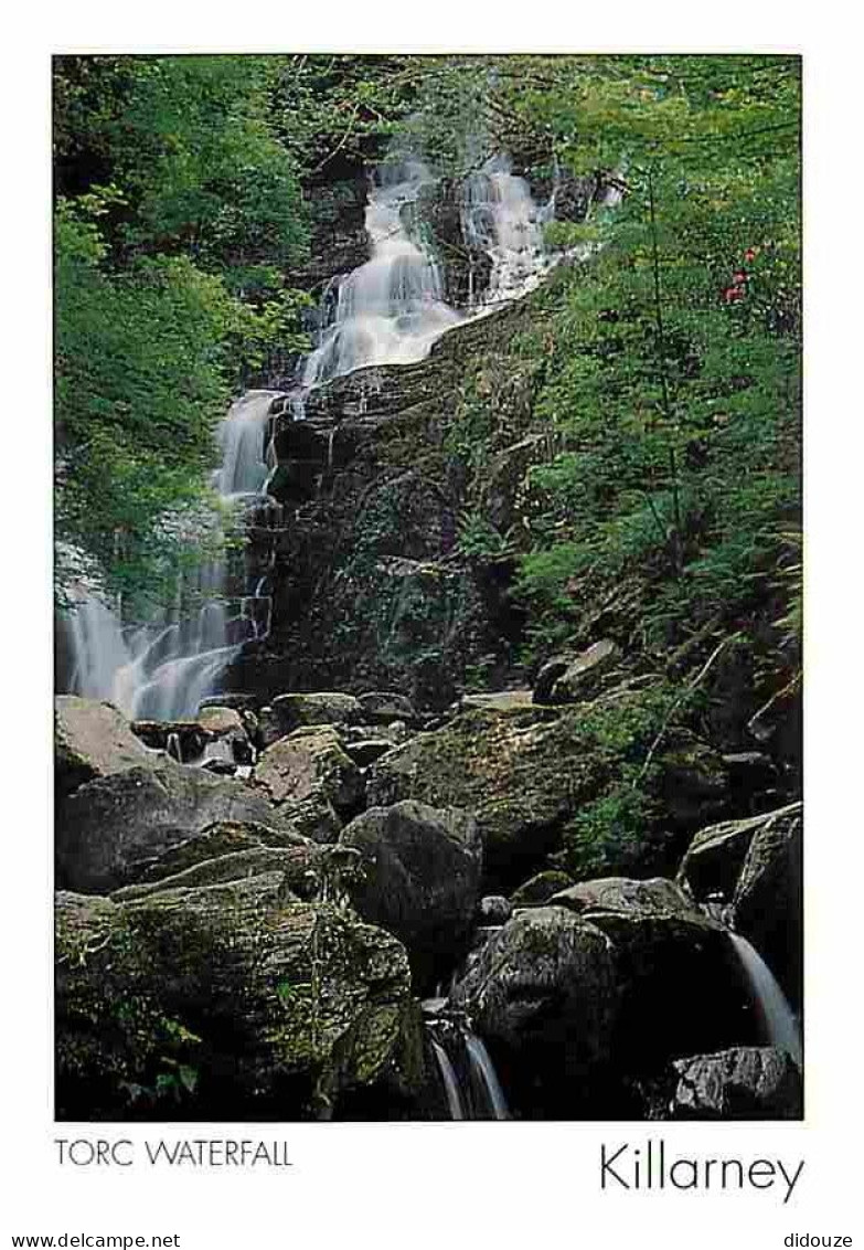 Irlande - Kerry - Killarney - Torc Waterfall - Cascades - CPM - Voir Scans Recto-Verso - Kerry