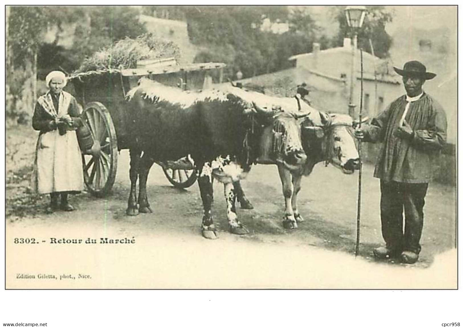 AGRICULTURE-ATTELAGE.n°4.RETOUR DU MARCHE.VACHES - Attelages