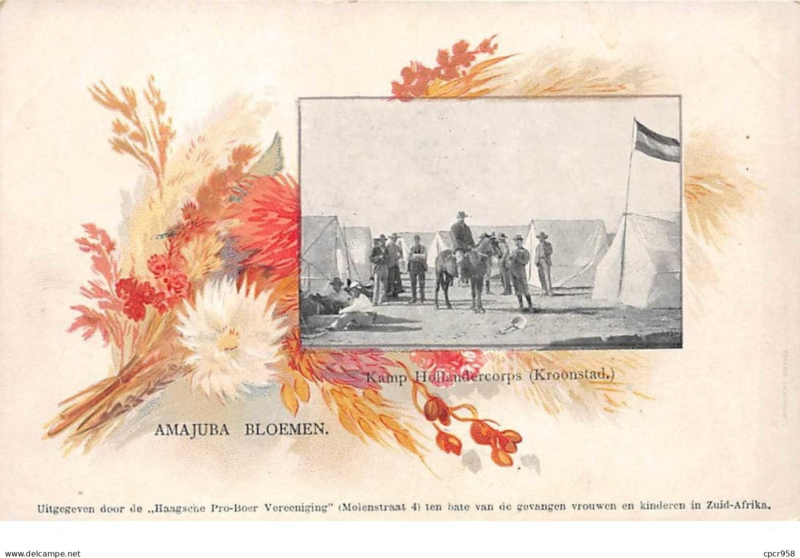 Afrique Du Sud - N°60954 - Amajuba Bloemen - Kamp Hoilandercorps (Kroonstad) - Südafrika