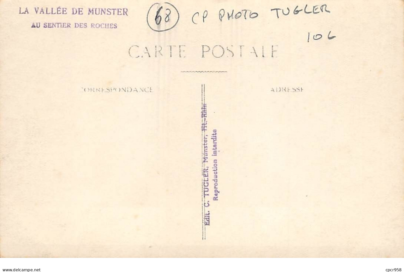 68. MUNSTER - N°68683 - La Vallée De Munster - Au Sentier Des Roches - C. Tugler - Carte Photo - Munster